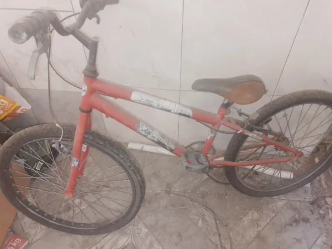 bike aro 24