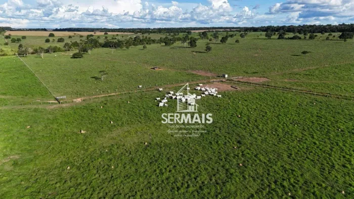 Excelente fazenda disponível para venda com 174 alqueires