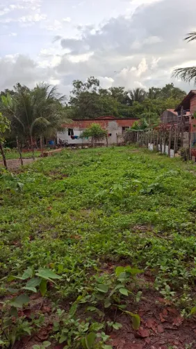 VENDE-SE TERRENO - Alto do Garrote Caucaia