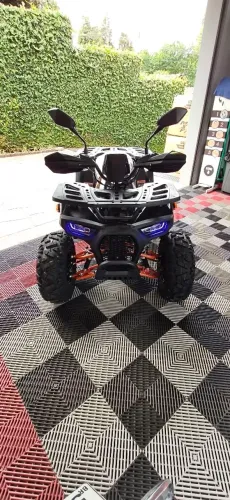 Quadriciclo Brave 1500w