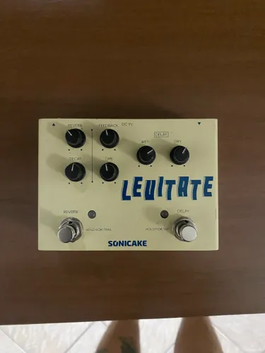 Pedal levitate delay/reverb