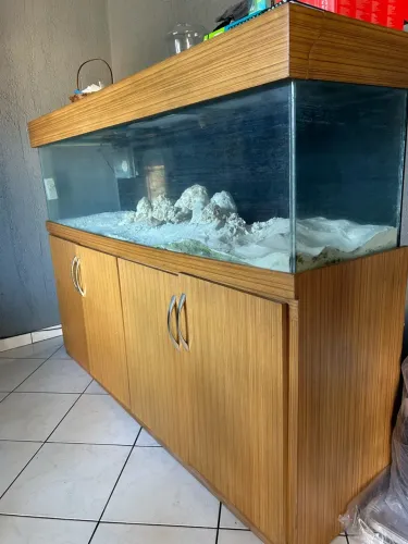 Aquário 