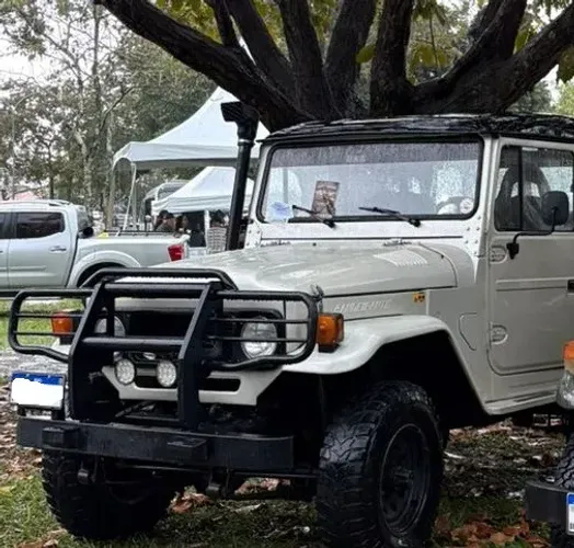 Toyota Band.Jipe Cap.de Aço Chas. Curto Diesel 1989