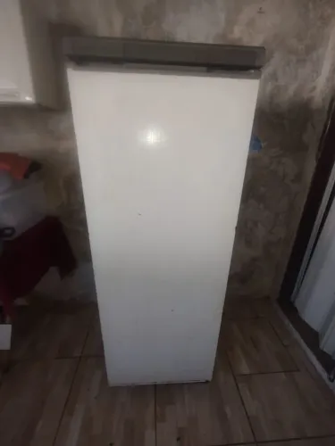 Freezer vertical
