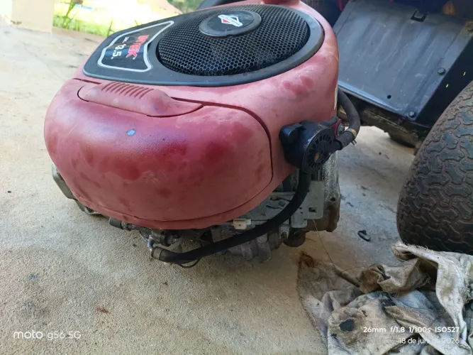Motor de roçadeira