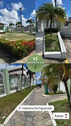 Jardineiro profissional