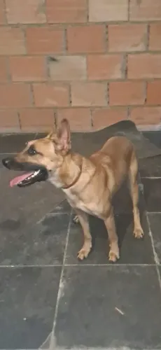 Doação