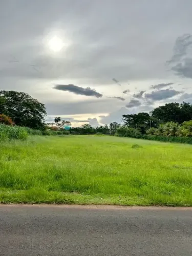 Terreno à venda, 5000 m² por R$ 1.500.000,00 - Condomínio Jardim das Acácias - Mirassol/SP