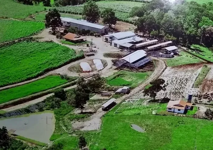 Fazenda Pilar do Sul 55 Alqueires,6 Tratores,2 Vagões Grandes,Plantadeira 4 Linhas,5 Casas