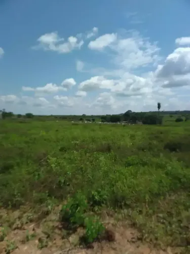 Fazenda à Venda em Confresa MT | 670 Hectares | Dupla Aptidão