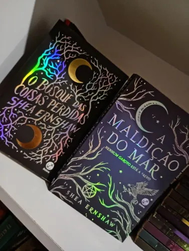 Livro a maldição do mar e o bosque das coisas perdidas
