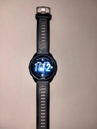 Garmin 165