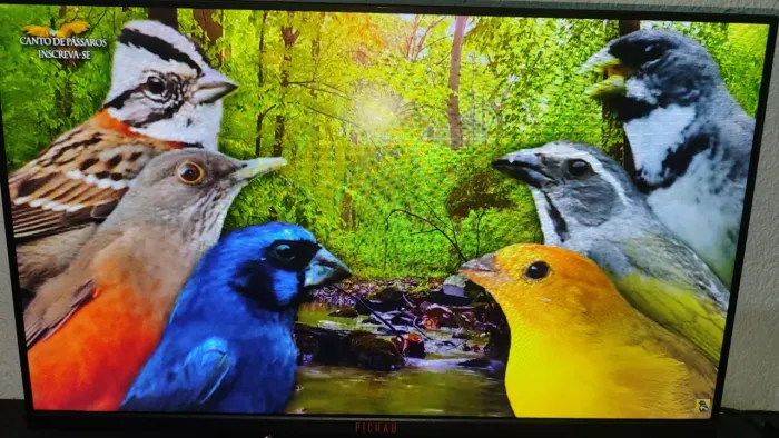 Monitor pichau athen v3 24' 1 ms 100hz (impecavel)