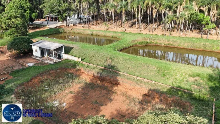 Chácara à Venda em Abadiânia GO  4,7 Hectares | Rica em água