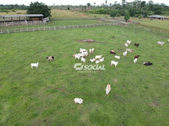 OPORTUNIDADE - FAZENDA ESCRITURADA À VENDA - A 55KM DE PORTO VELHO