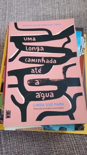 Livro Uma longa caminhada até a água