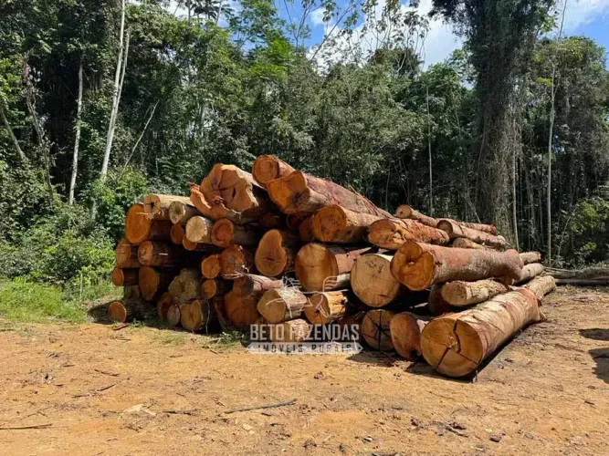 Imóvel para venda com 230000000 metros quadrados em Área Rural de Paragominas - Paragomina