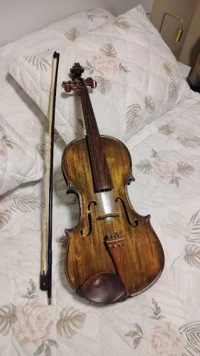 Viola erudita de arco 43