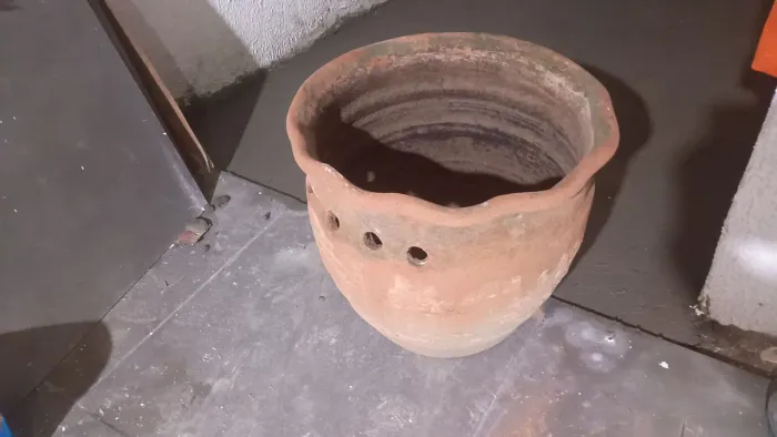 Vaso de plantas