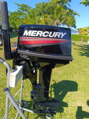 Motor Mercury 9.9 2025