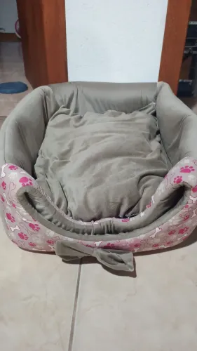 Cama para cachorro