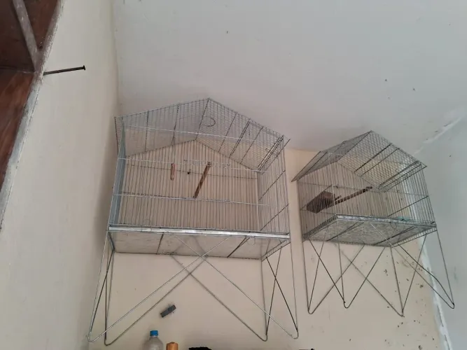 2 Gaiolas de pássaros semi novas
