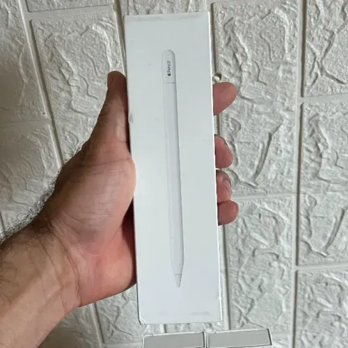 Apple Pencil USB-C Lacrada Liquidação!