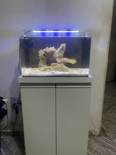 Aquário Marinho Completo - Pronto para a Vida!