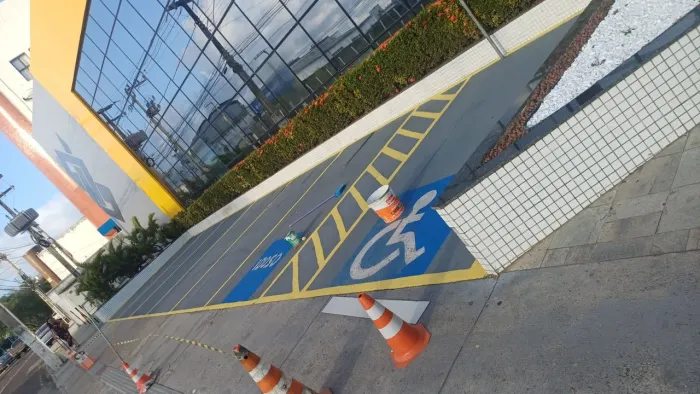 Pintor profissional...