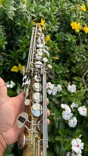 Saxofone Soprano Parrot Francês