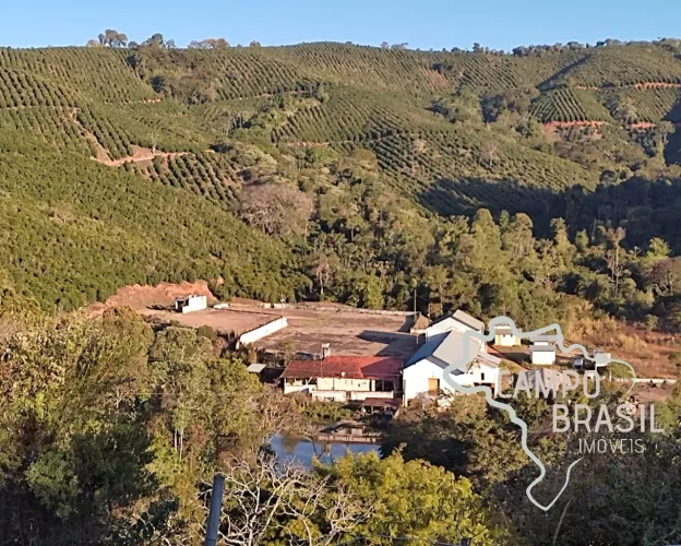 FAZENDA 216 HECTARES COM 500 MIL PÉS DE CAFÉ ESPECIAL NO SUL DE MINAS