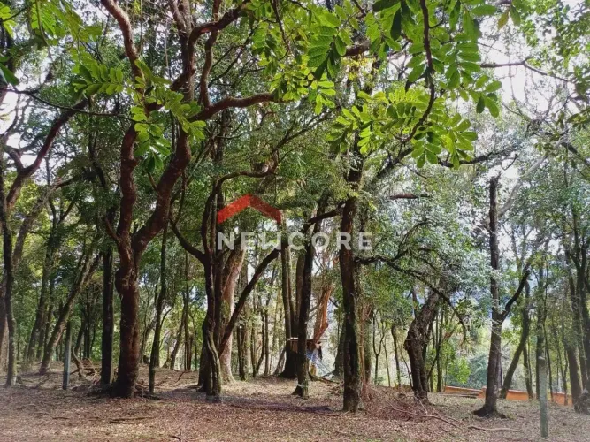 Lote em Rua Levino Dal Bosco - São Virgílio - Caxias do Sul/RS