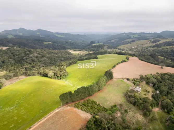 Fazenda à venda em Campo Largo, próxima à Curitiba | 46 alqueires, nascentes e produção ag