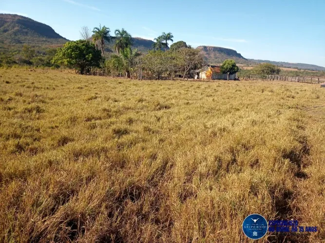 Fazenda à Venda em Caiapônia GO | 38 Alqueires | Rio, Nascente