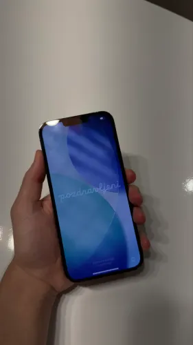 iPhone 13 Pro Max 256gb seminovo