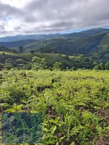 Terreno à Venda em Gonçalves-MG com 26.143m2