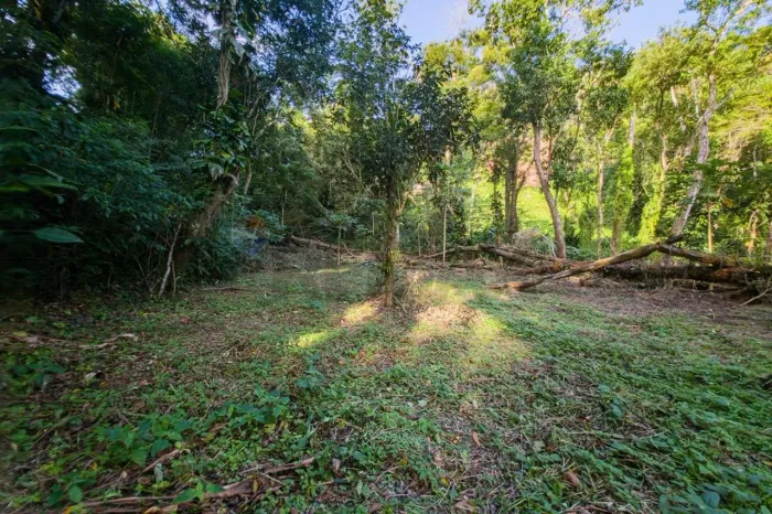 Terreno 11.000 m² com mata nativa em Boiçucanga, São Sebastião