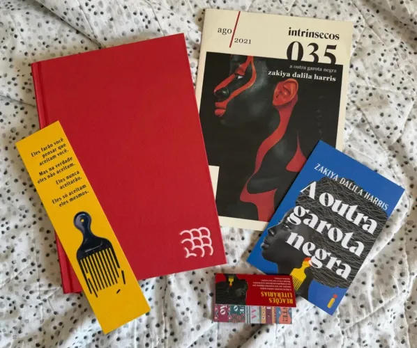 Livro A Outra Garota Negra clube intrínsecos