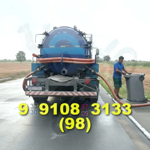 dedetizacao com agilidade em maraponga e montese, chame no zap!