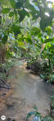 Terreno com igarapé  em BELTERRA, Vendo ou Troco leia o anúncio!