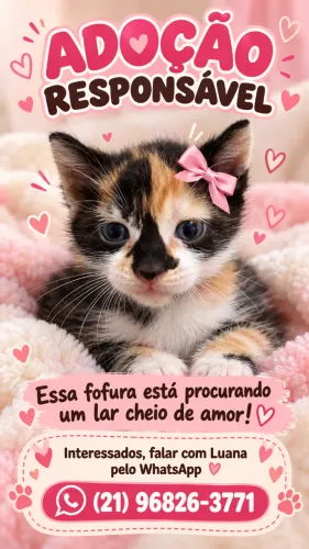 Gato
