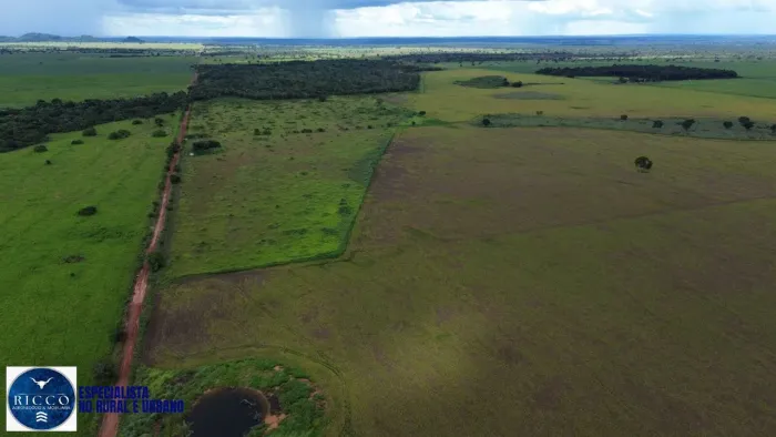 Fazenda à Venda em Nova Crixás - GO | 145 Alqueires | Agricultura