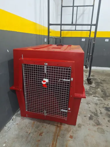 Kennel caixa transporte pet 