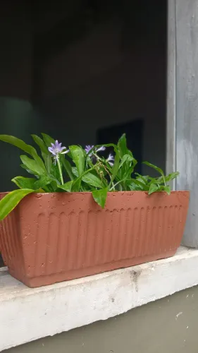 Vaso de concreto artesanal