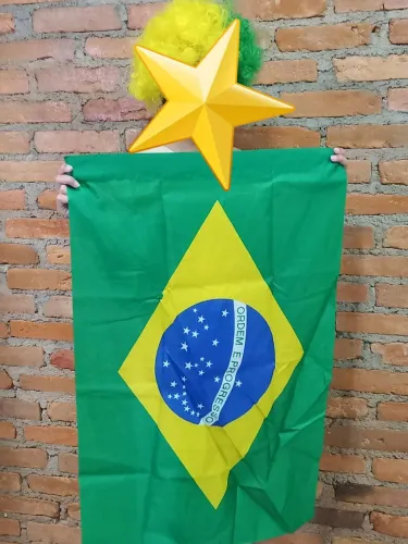 Bandeira Brasil 