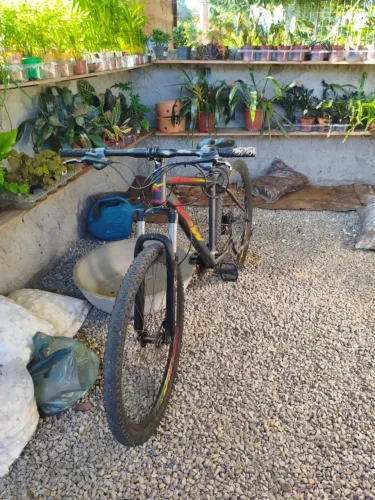 VENDO BIKE ARO 29