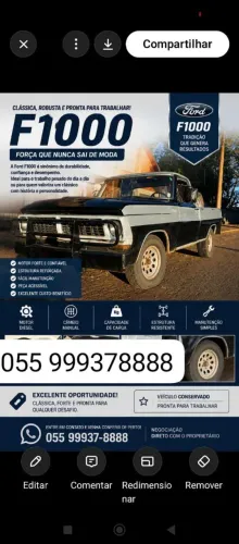 Ford F-1000 Super 3.6 / Super Serie 3.6 (álcool) 1980
