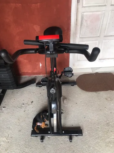 Bicicleta ergométrica