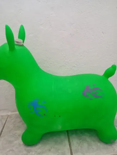 Burrinha