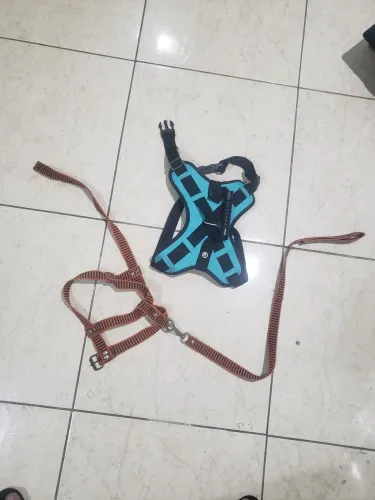 Coleira peitoral com guia para cachorro